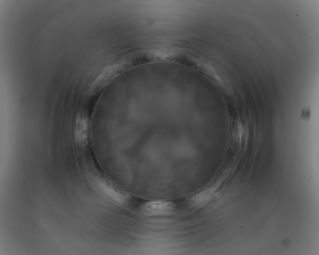 X0000092230526200709281107