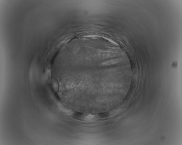 X0000092230527200709281107