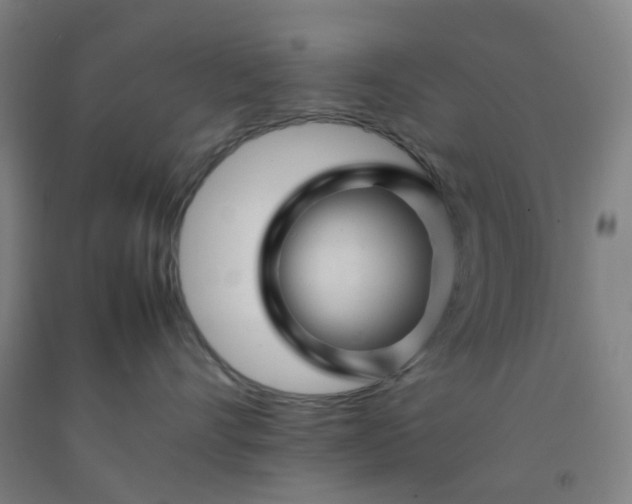 X0000092230528200709281106