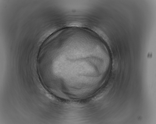 X0000092230529200709281106