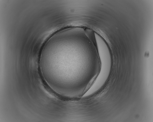 X0000092230530200709281106