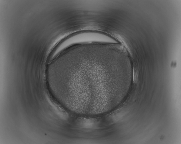 X0000092230531200709281106