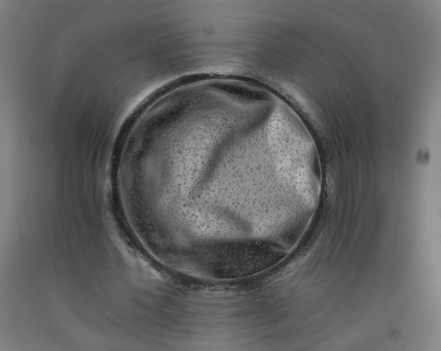 X0000092230532200709281106