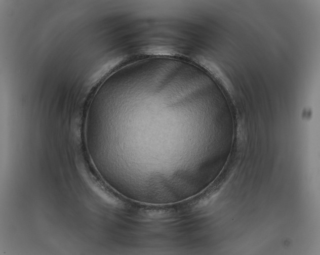 X0000092230533200709281106