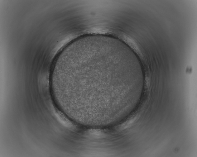 X0000092230534200709281106