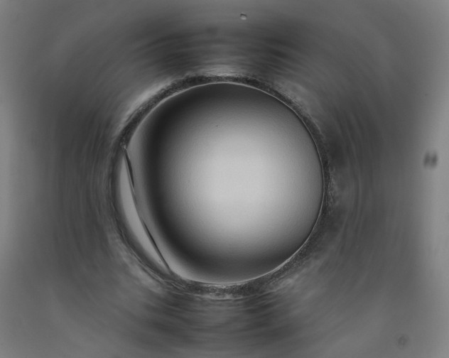 X0000092230535200709281106