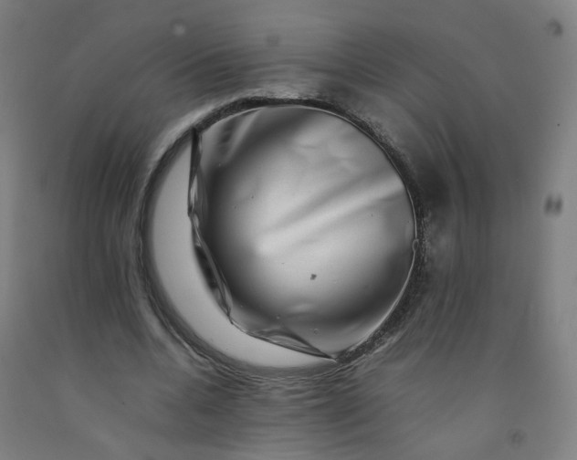 X0000092230536200709281106