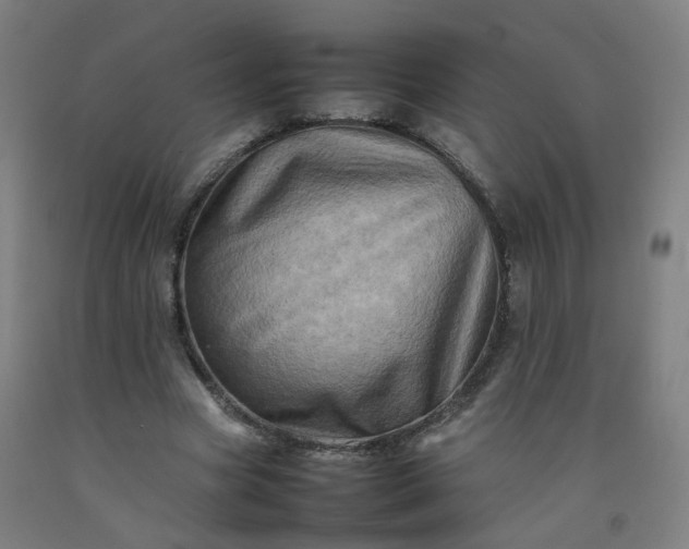 X0000092230537200709281106