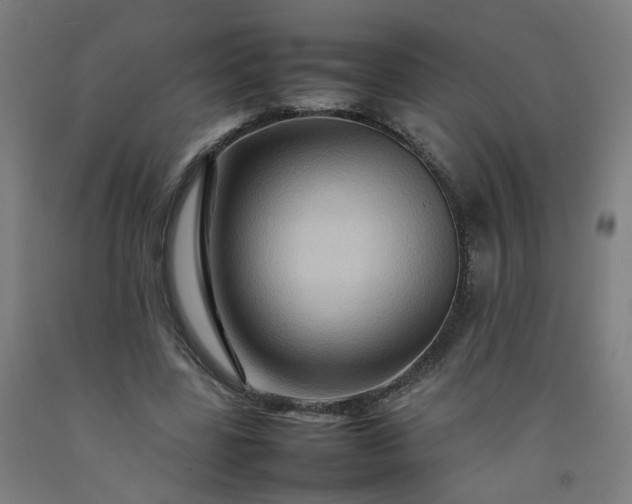 X0000092230539200709281106