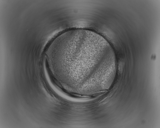 X0000092230540200709281106