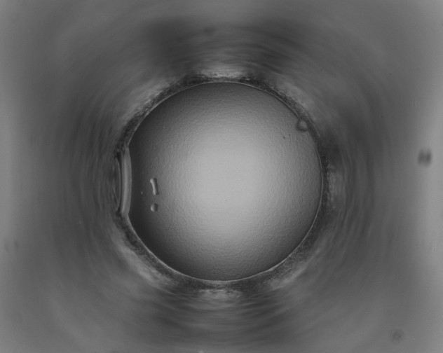 X0000092230541200709281106