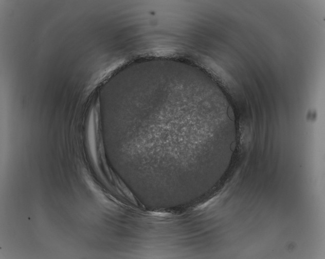 X0000092230542200709281106