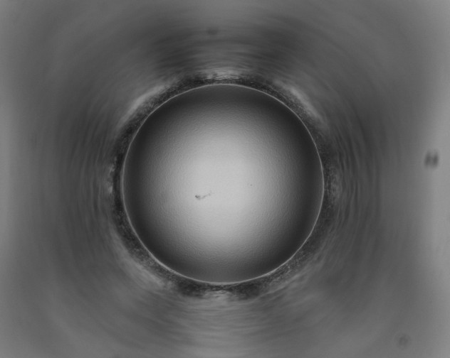 X0000092230543200709281106