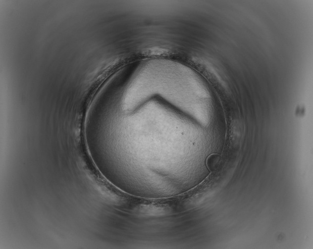 X0000092230545200709281106