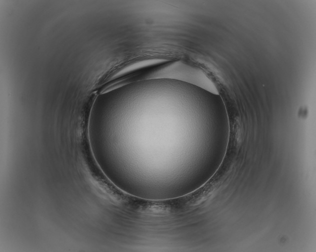 X0000092230546200709281106