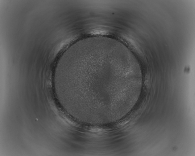 X0000092230547200709281106