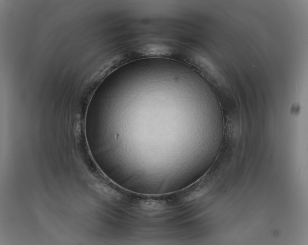 X0000092230549200709281106