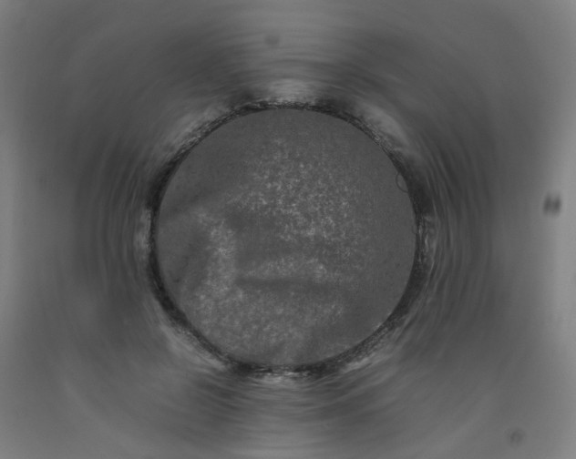 X0000092230550200709281106