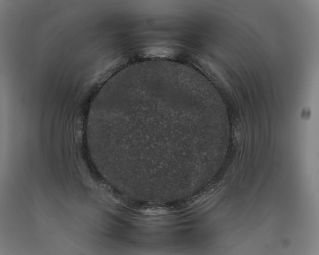 X0000092230551200709281106