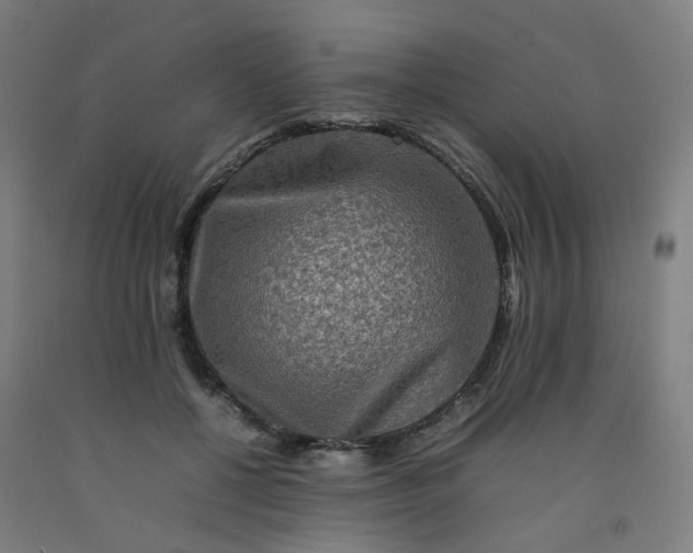 X0000092230552200709281106