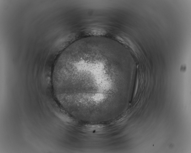 X0000092230553200709281106