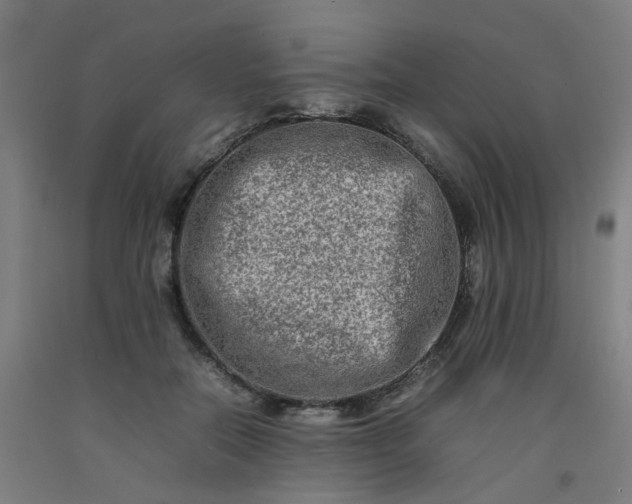 X0000092230554200709281106