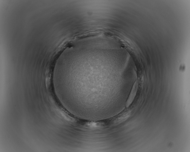 X0000092230558200709281106