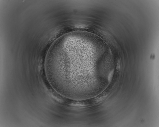 X0000092230559200709281106