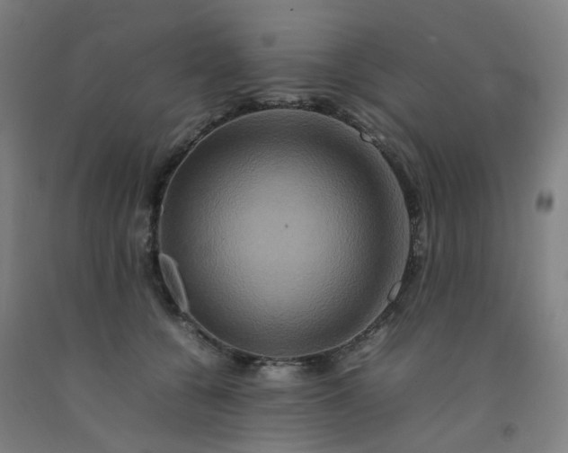 X0000092230560200709281106