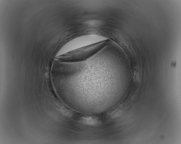 X0000092230561200709281106