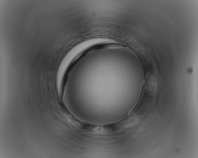 X0000092230562200709281106