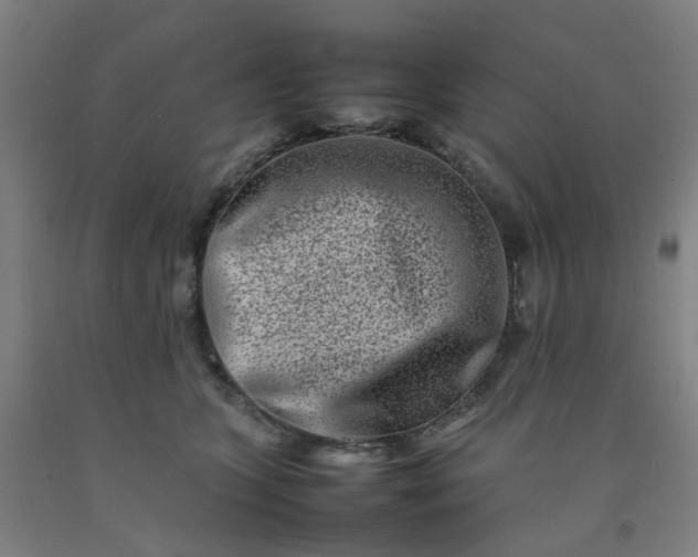 X0000092230563200709281106