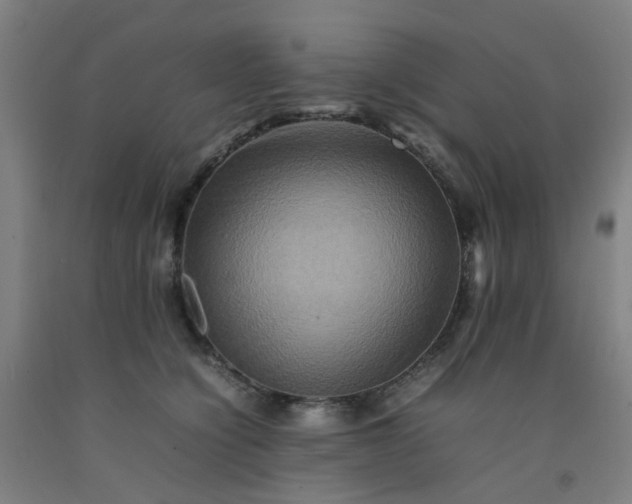 X0000092230564200709281106