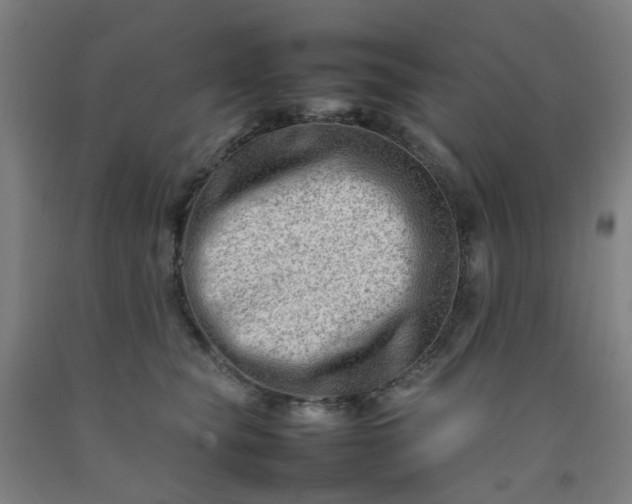 X0000092230565200709281106