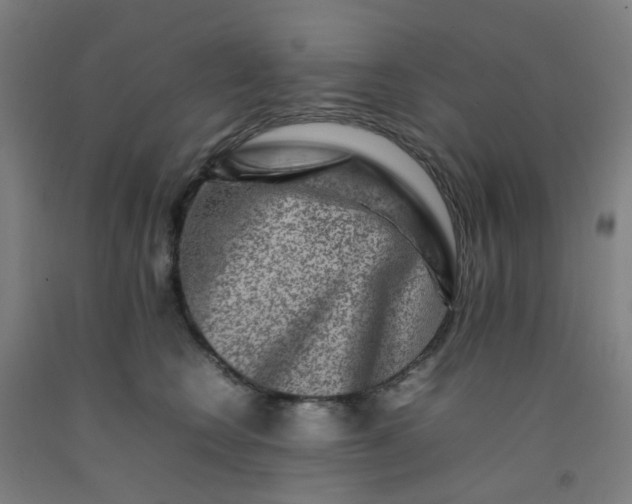 X0000092230566200709281106