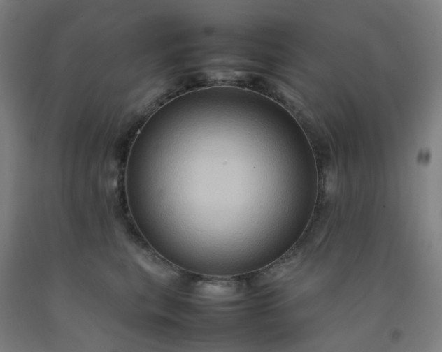 X0000092230567200709281106