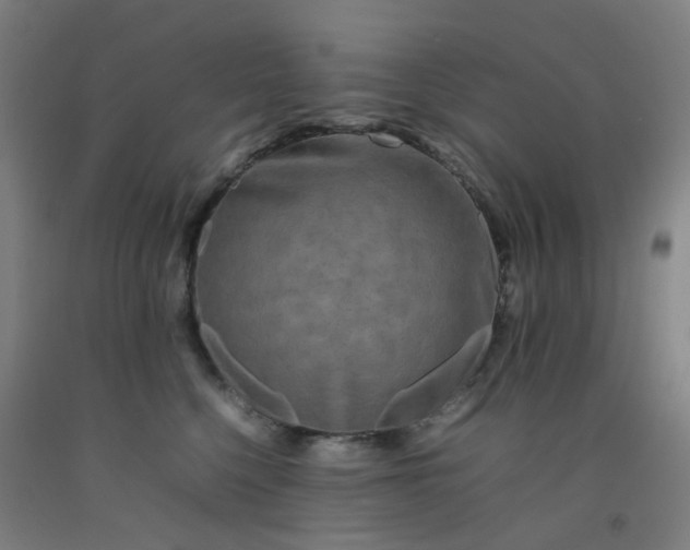 X0000092230568200709281106