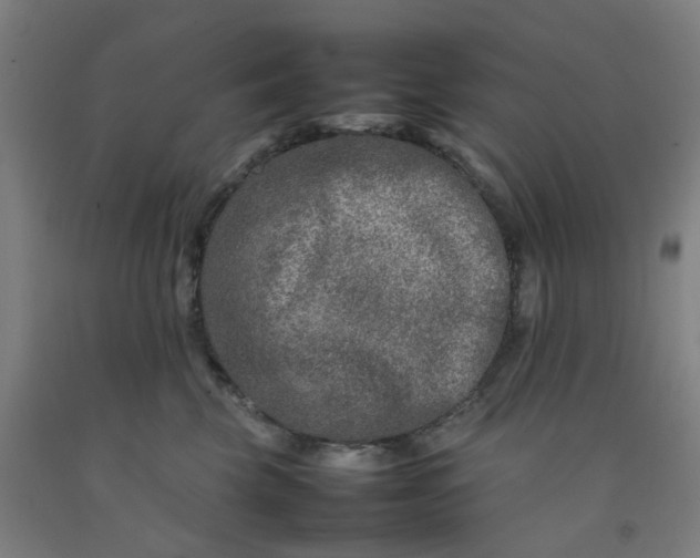 X0000092230569200709281106