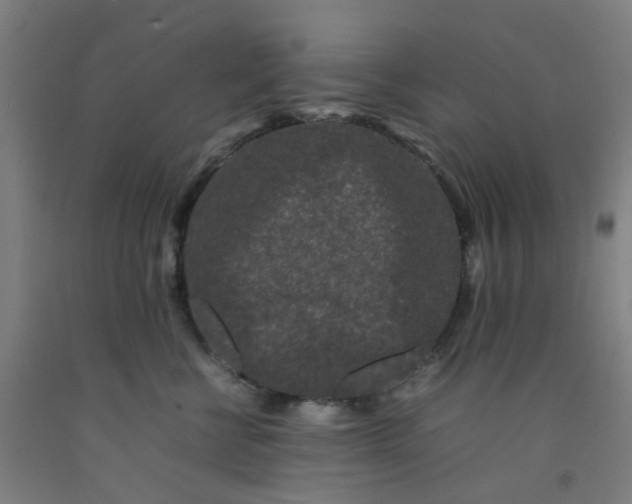 X0000092230570200709281106