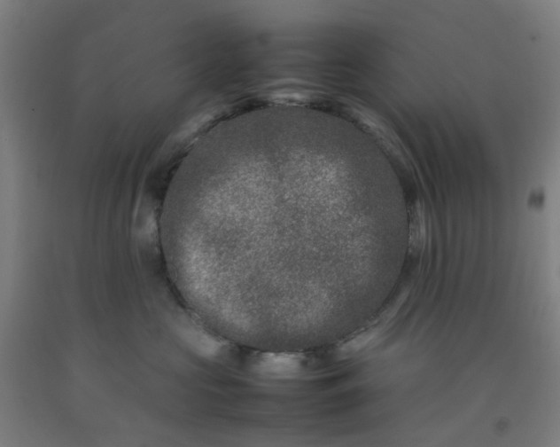 X0000092230573200709281106