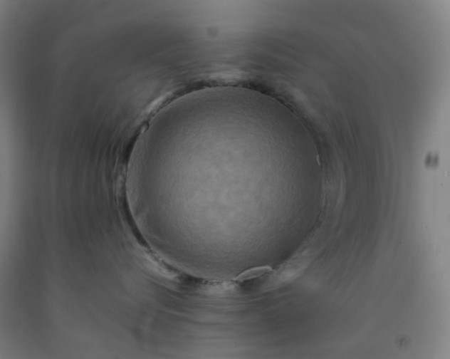 X0000092230576200709281106