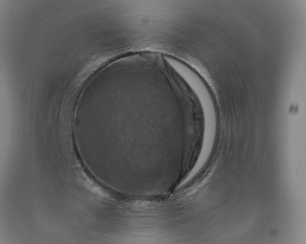 X0000092230577200709281106