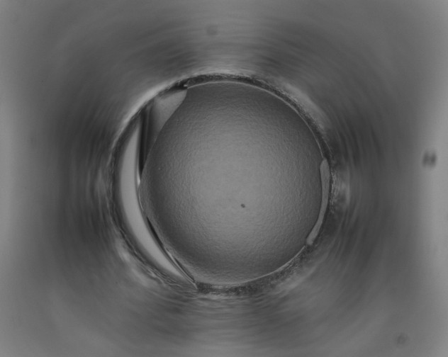 X0000092230580200709281106