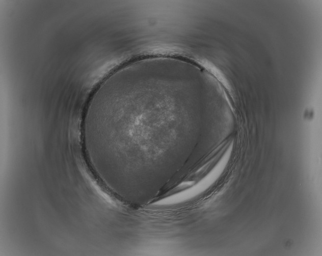 X0000092230581200709281106