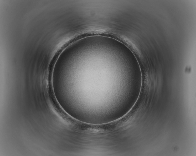 X0000092230582200709281106