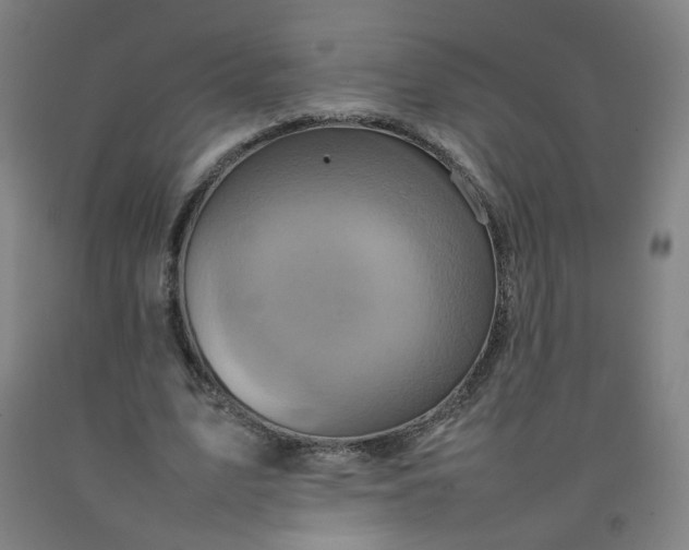 X0000092230583200709281106