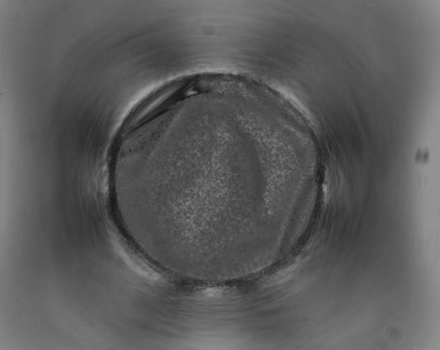 X0000092230584200709281106