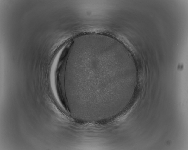 X0000092230585200709281106