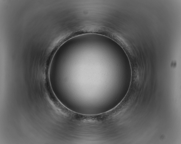 X0000092230586200709281106