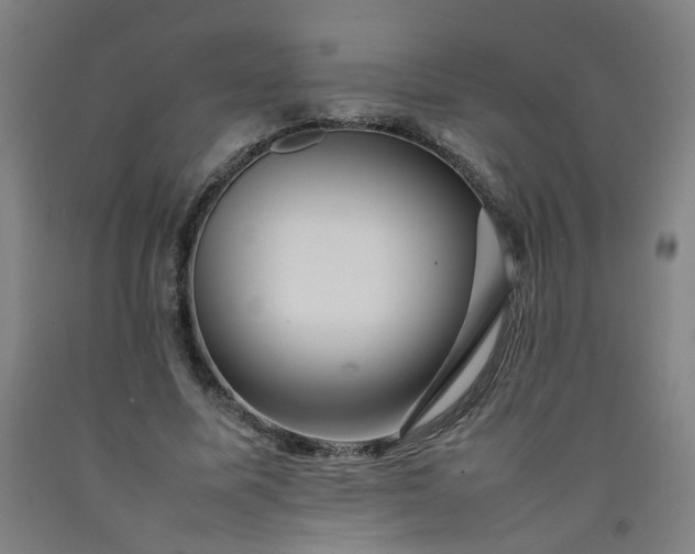 X0000092230587200709281106